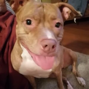 Meet your Posher, Cliff